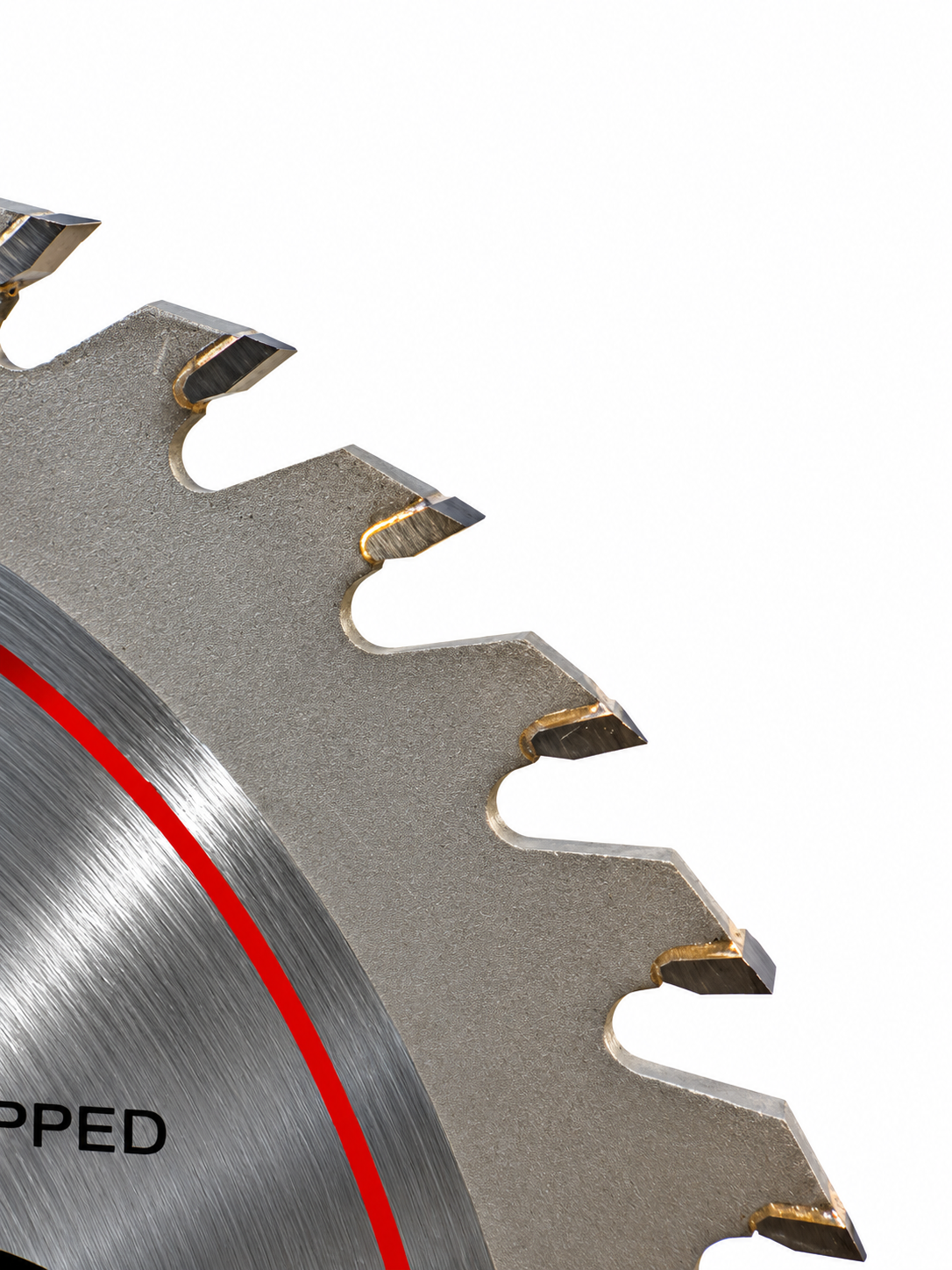 Close-up of a circular saw blade showing the tooth profile, metallic gray steel body, and gold-colored cutting edges on a white background.