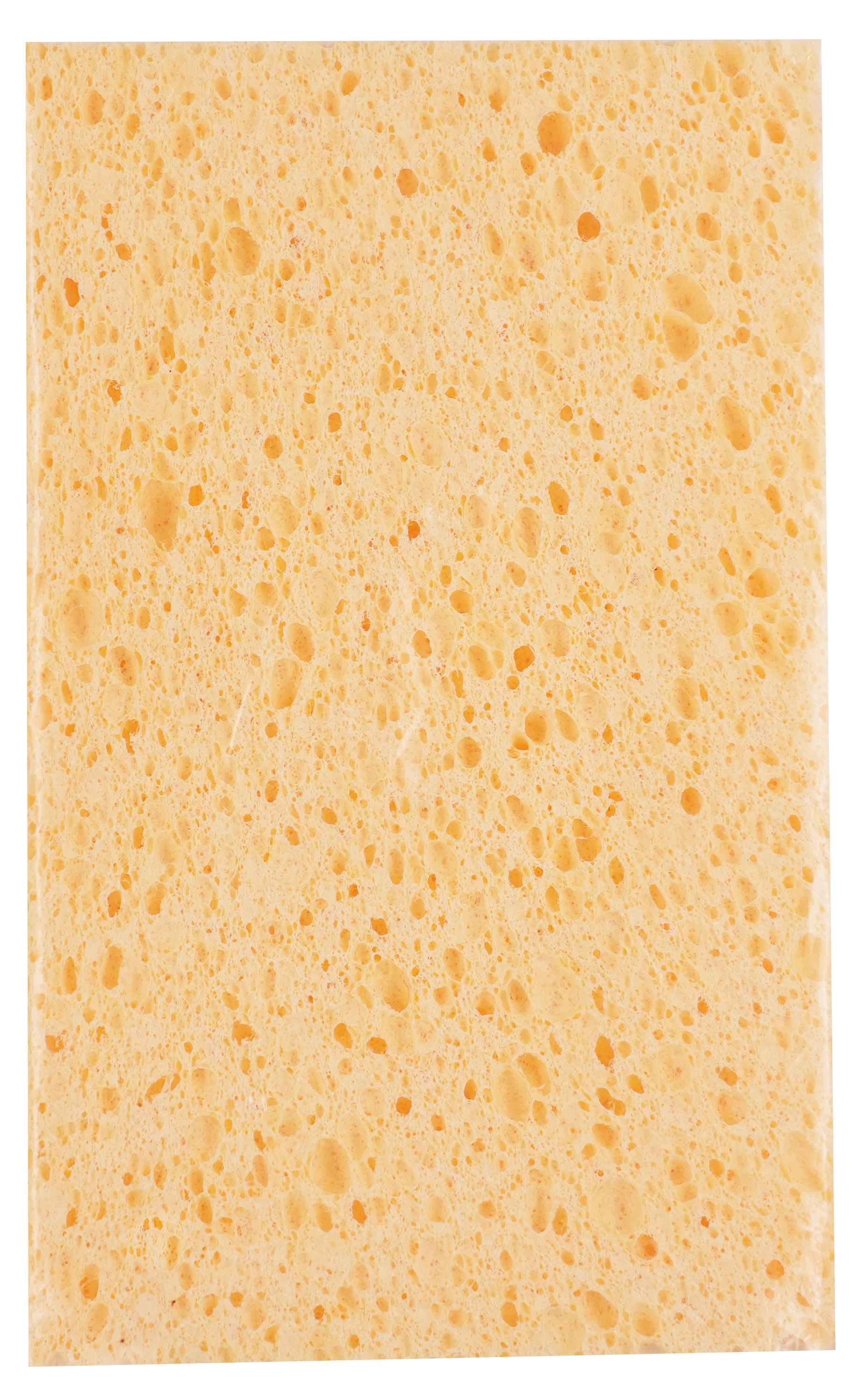 ROLLINGDOG USA NO TAG 7" All-Purpose Wood Pulp Sponge | Pro Tool Haus